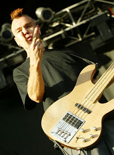 Hed (pe)