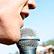 The Hives