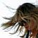 Sonic Youth