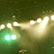 Phish