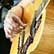 Emmylou Harris